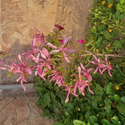 20240407 190551 20240407 190551