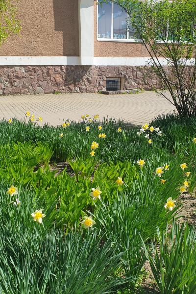 20240409 133854 20240409 133854