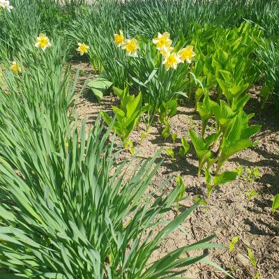 20240409 133906 20240409 133906