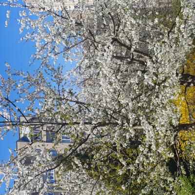 20240409 134213 20240409 134213