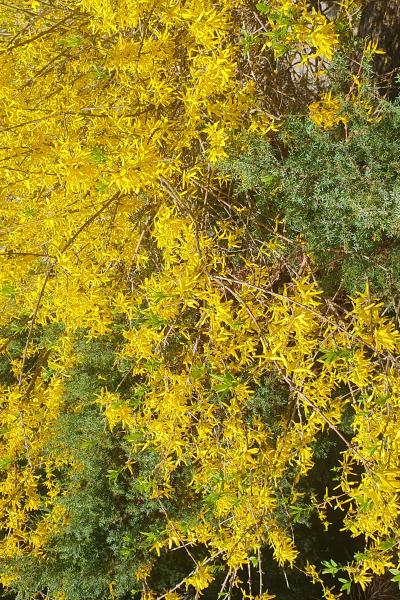 20240409 134317 20240409 134317