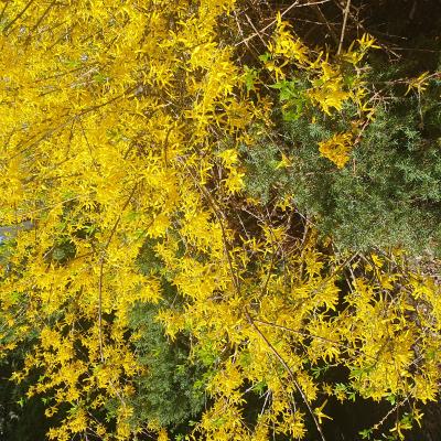 20240409 134325 20240409 134325